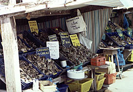 Verkaufsstand am Austernmarkt